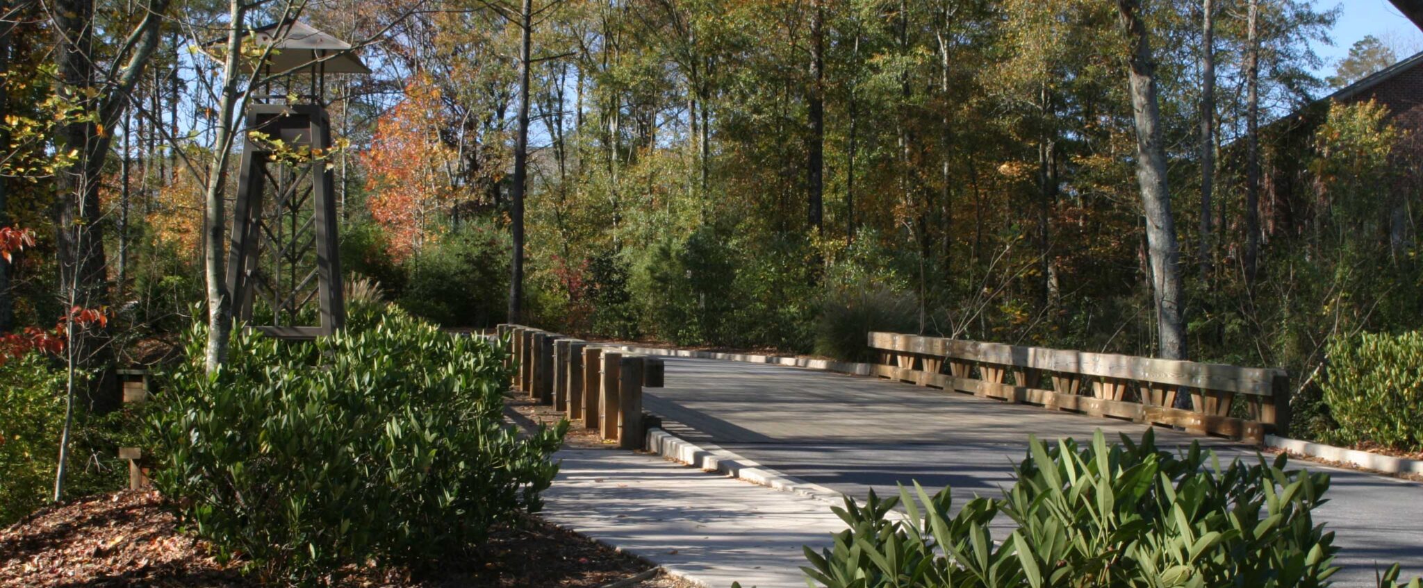 Choosing a Landscape Architect: Four Guidelines to Follow
